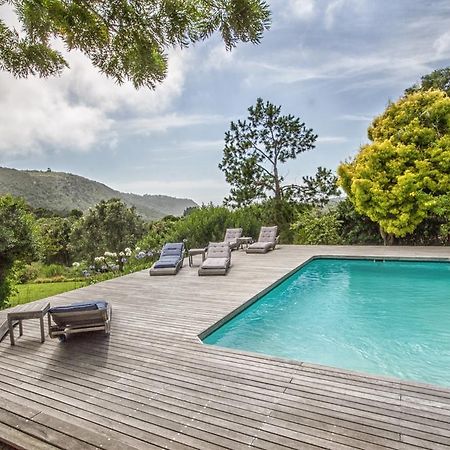 Piesang Valley Lodge Plettenberg Bay Esterno foto