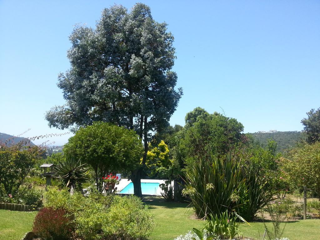 Piesang Valley Lodge Plettenberg Bay Camera foto