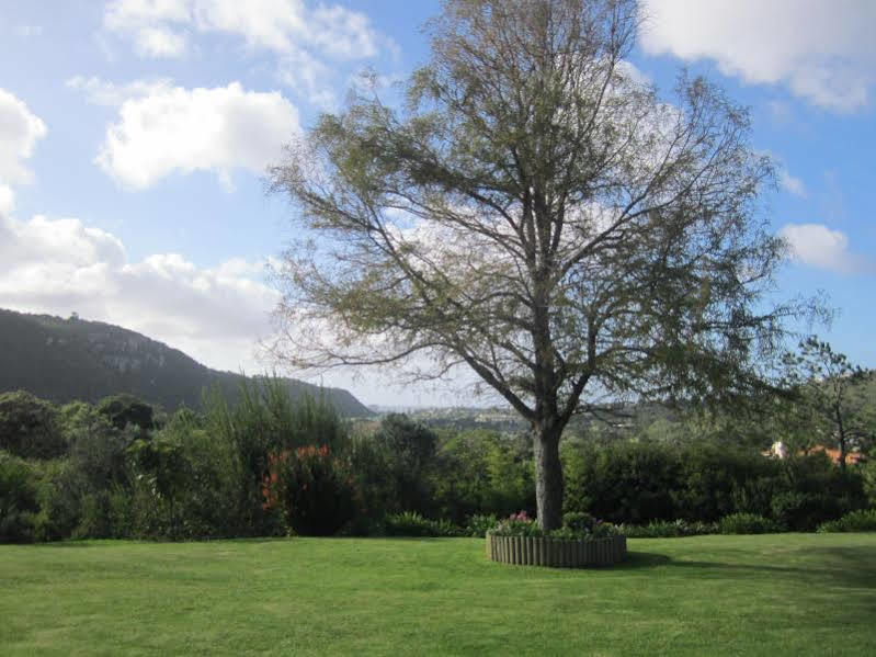 Piesang Valley Lodge Plettenberg Bay Esterno foto